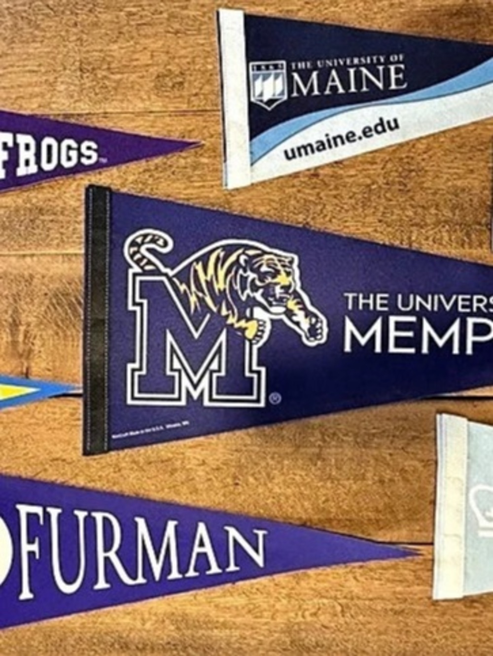 Collegiate Pennant Decor Purple & Blue